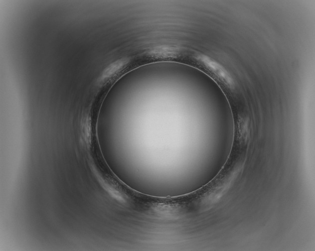 X0000111510494200907211206