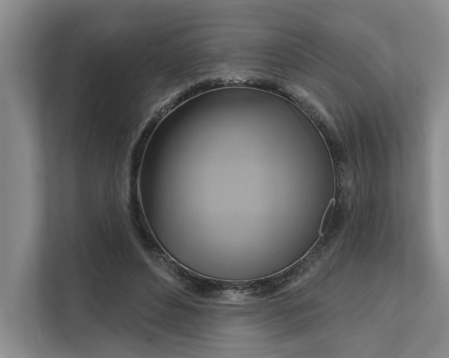 X0000111510496200907211206