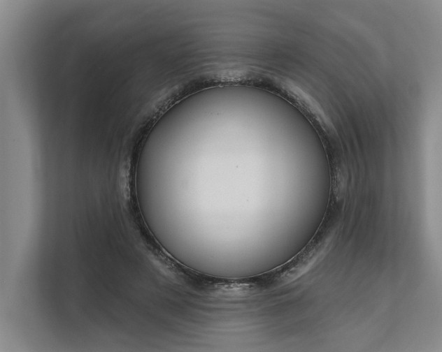 X0000111510497200907211206
