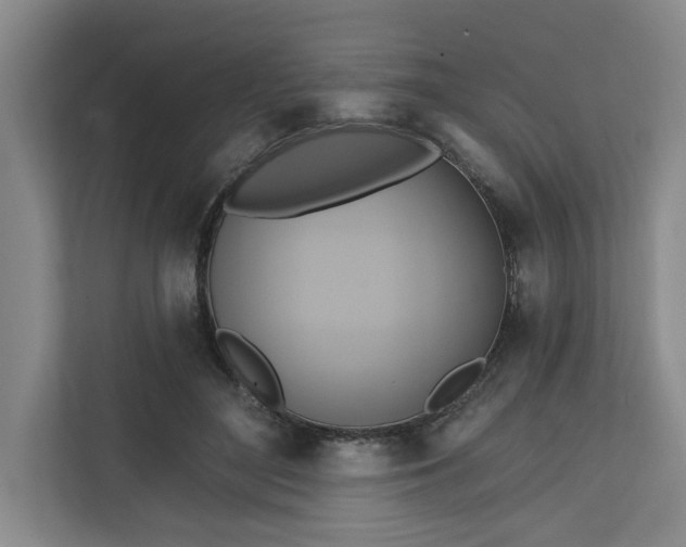 X0000111510500200907211206