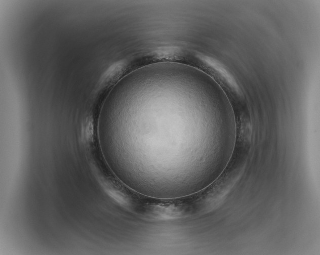 X0000111510502200907211206