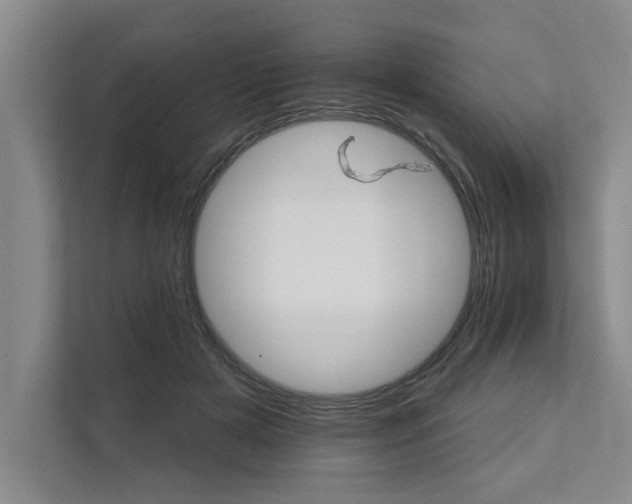 X0000111510505200907211206