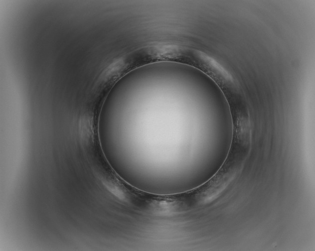 X0000111510506200907211206