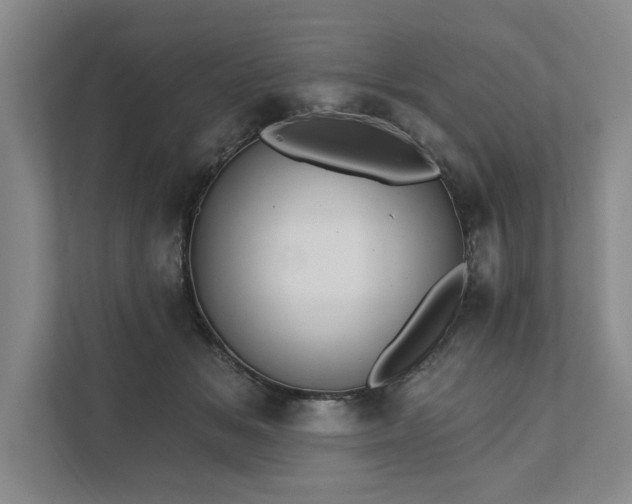 X0000111510509200907211206
