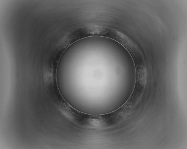 X0000111510510200907211206
