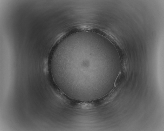 X0000111510512200907211206