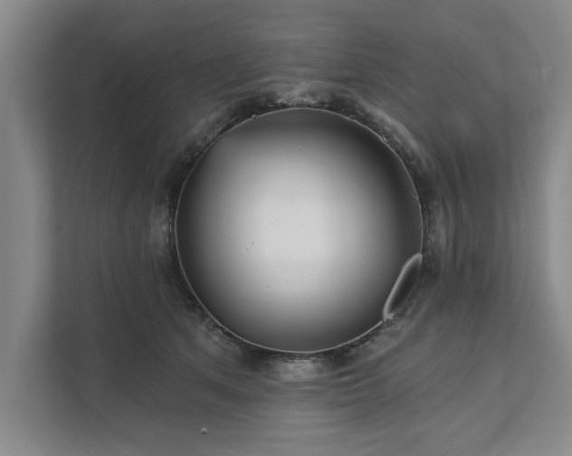 X0000111510513200907211206