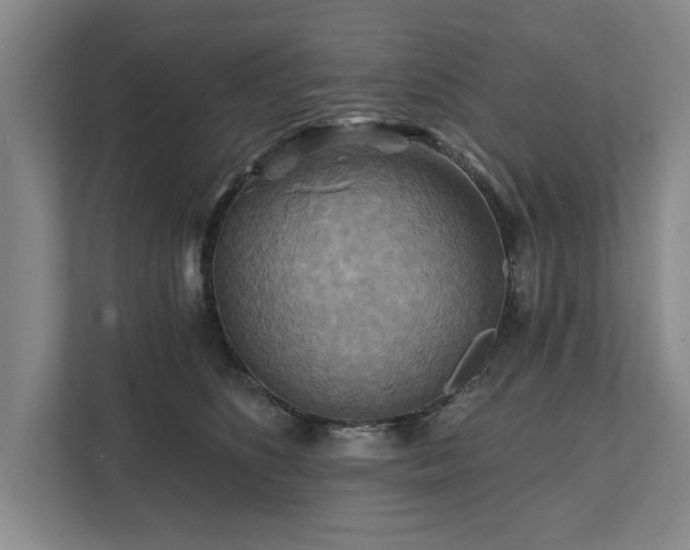X0000111510516200907211206