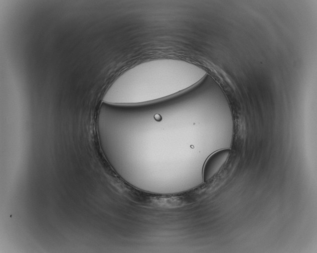 X0000111510517200907211206