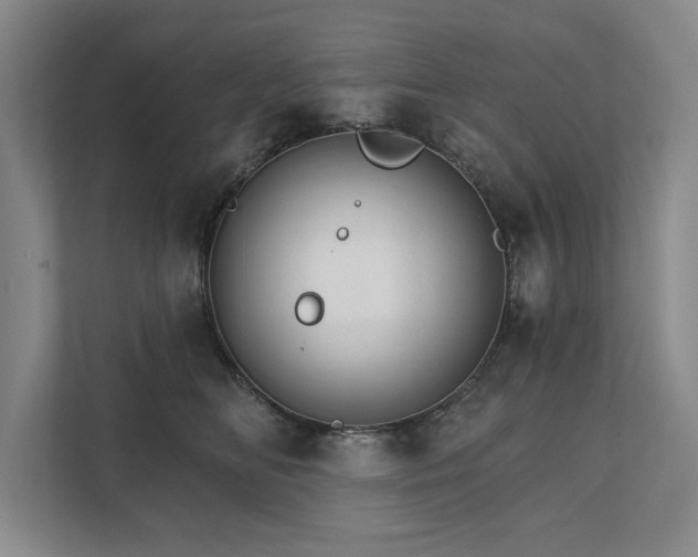 X0000111510518200907211206