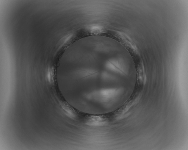 X0000111510519200907211206