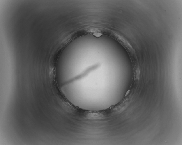 X0000111510521200907211206