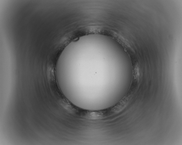 X0000111510522200907211206