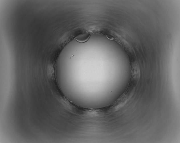 X0000111510523200907211206