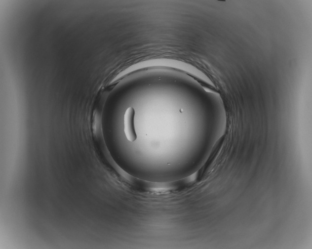 X0000111510524200907211206