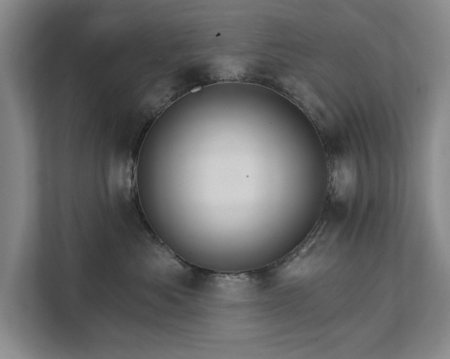 X0000111510525200907211206