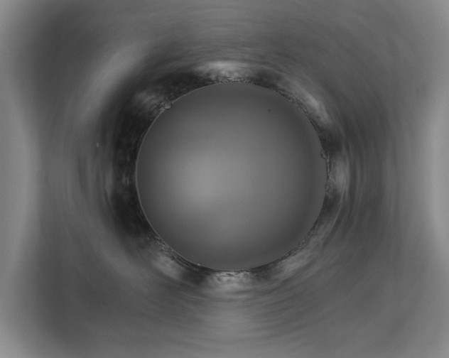 X0000111510526200907211206