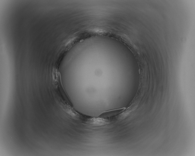 X0000111510528200907211206