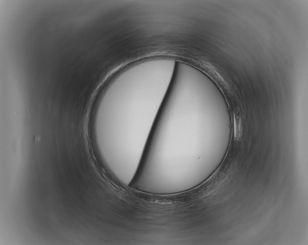 X0000111510531200907211205