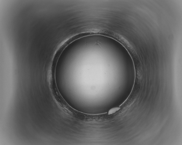 X0000111510532200907211205