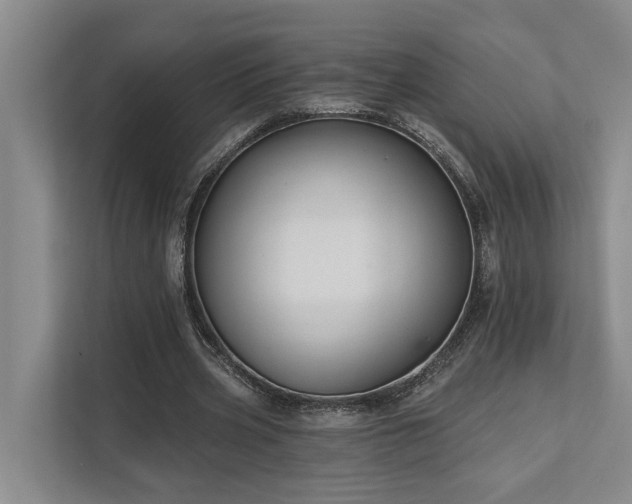 X0000111510533200907211205