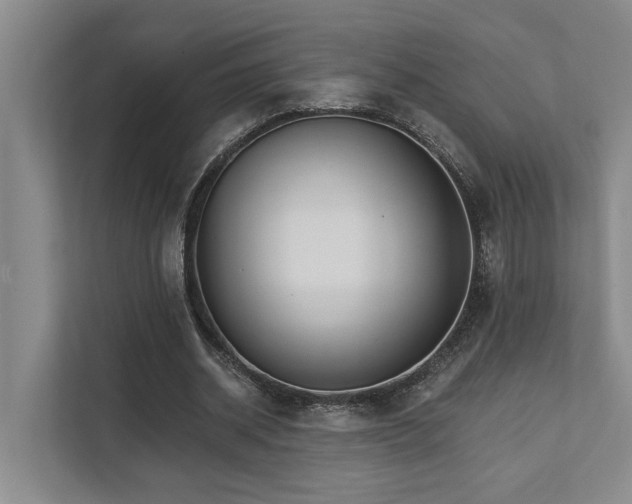 X0000111510534200907211205