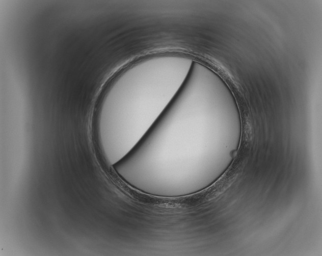 X0000111510535200907211205