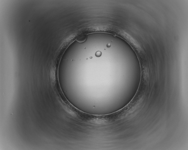 X0000111510537200907211205