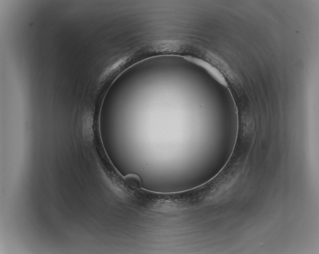 X0000111510538200907211205