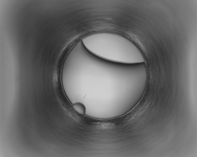 X0000111510539200907211205
