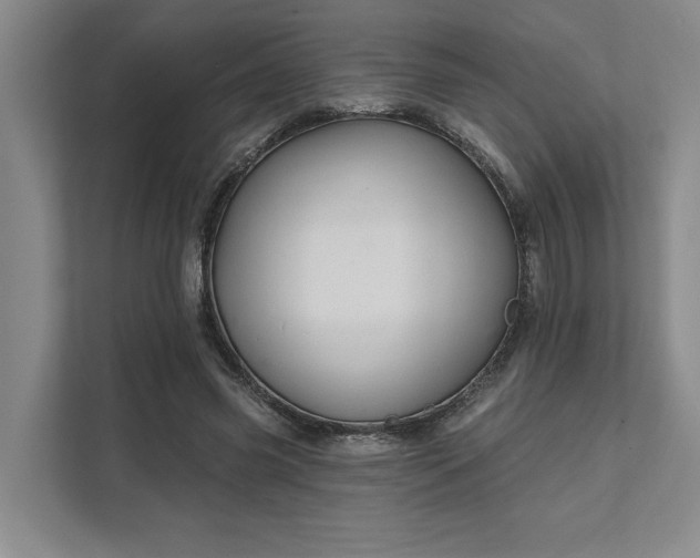 X0000111510541200907211205