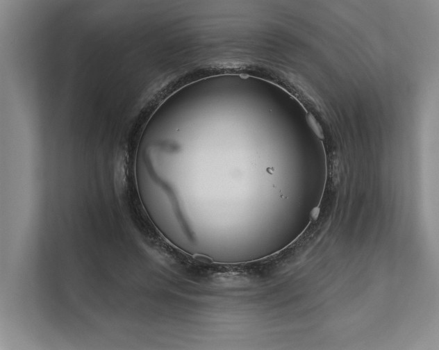 X0000111510544200907211206