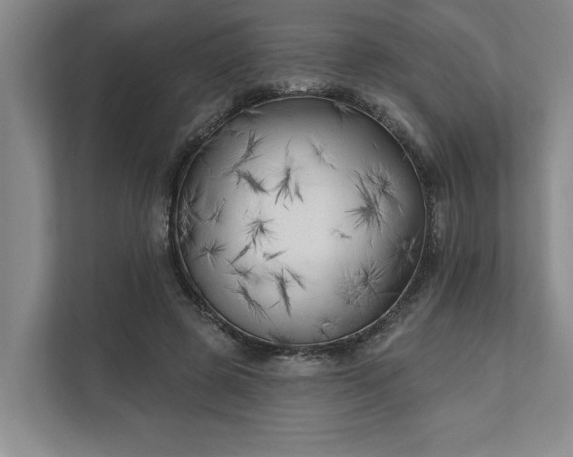X0000111510545200907211206
