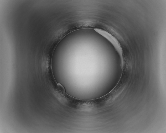 X0000111510546200907211206