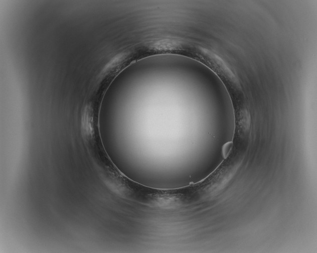 X0000111510547200907211206