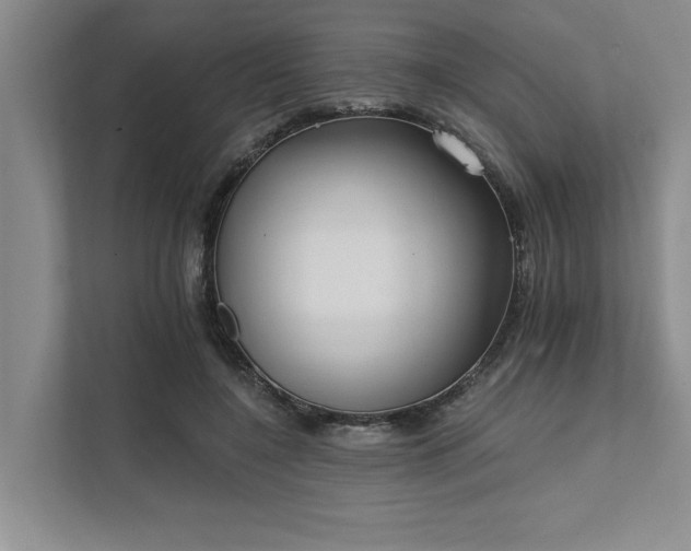 X0000111510548200907211206
