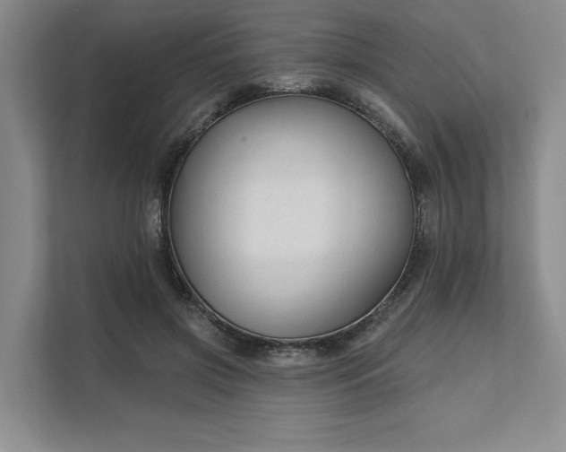 X0000111510549200907211206