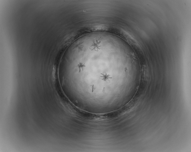 X0000111510550200907211206