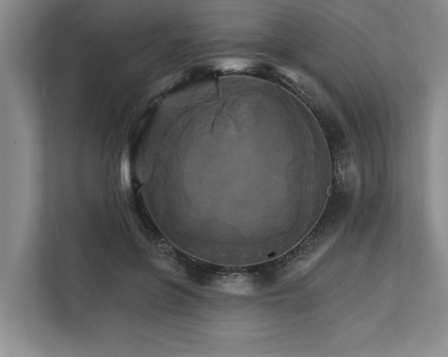 X0000111510551200907211206
