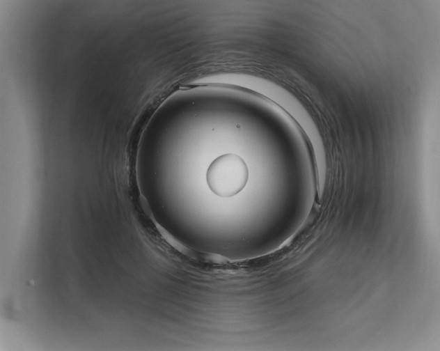 X0000111510552200907211206