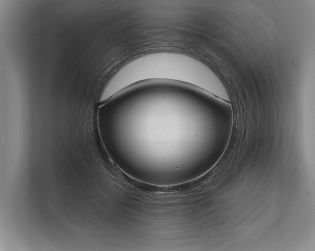 X0000111510556200907211206