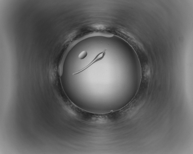 X0000111510559200907211206