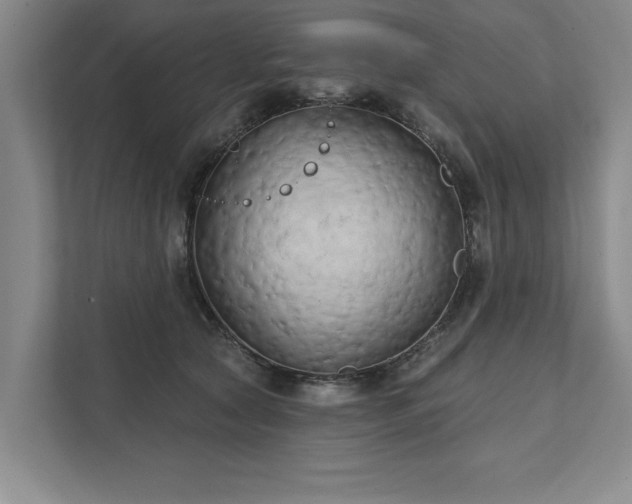 X0000111510561200907211206