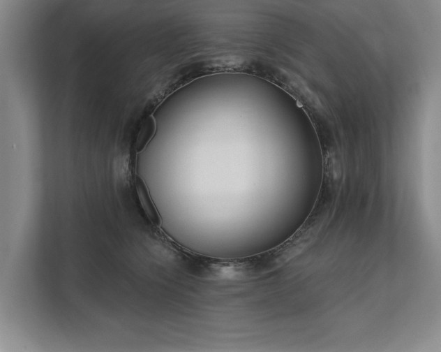 X0000111510564200907211206