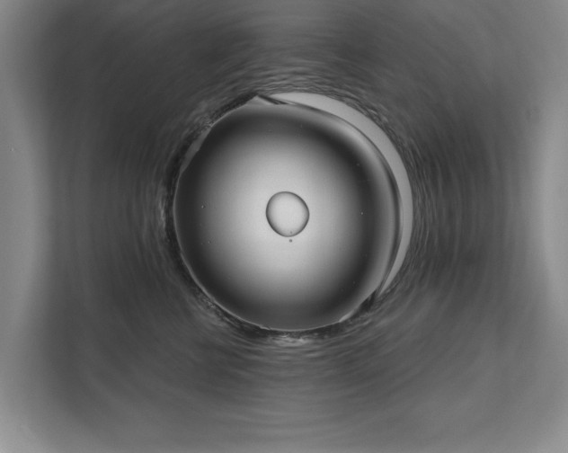 X0000111510570200907211206