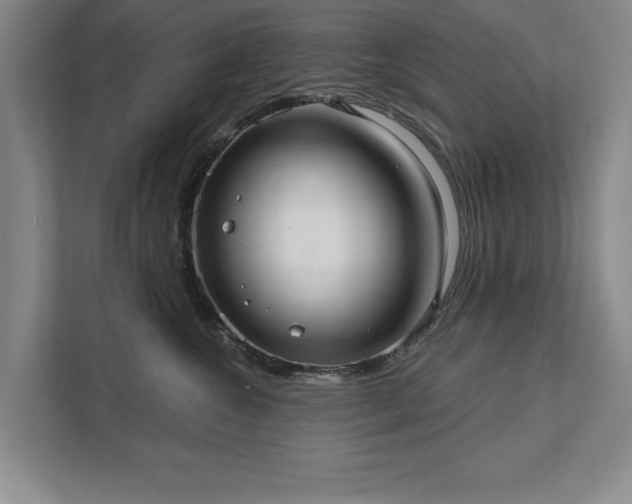 X0000111510572200907211206