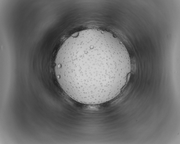 X0000111510573200907211206