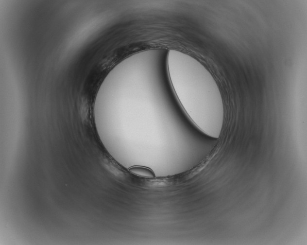 X0000111510574200907211206