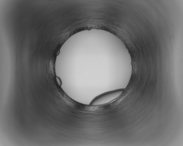X0000111510575200907211206