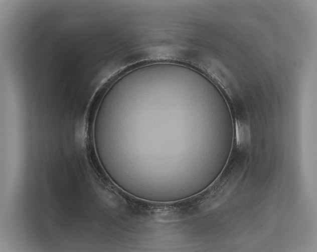 X0000111510579200907211205